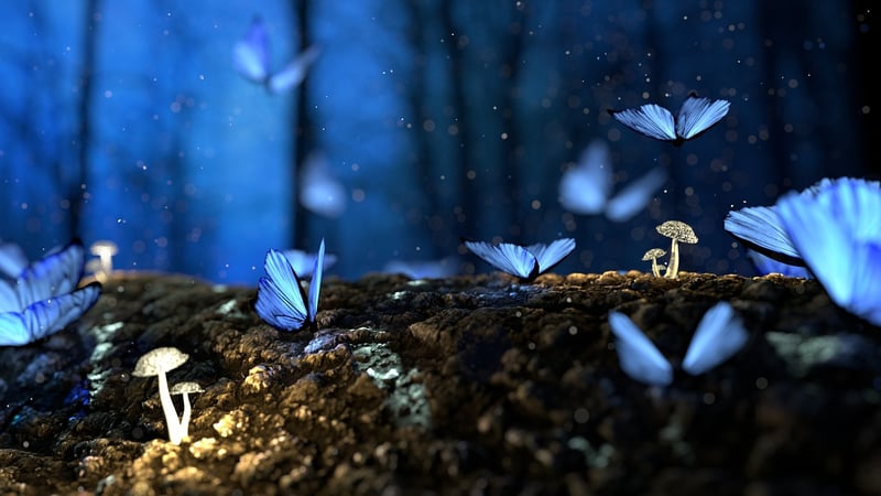 Enchanted Objects