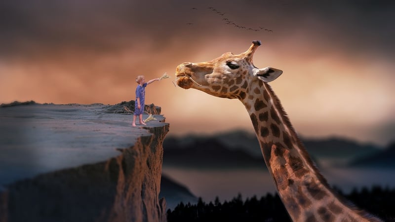 Fantasy Animals